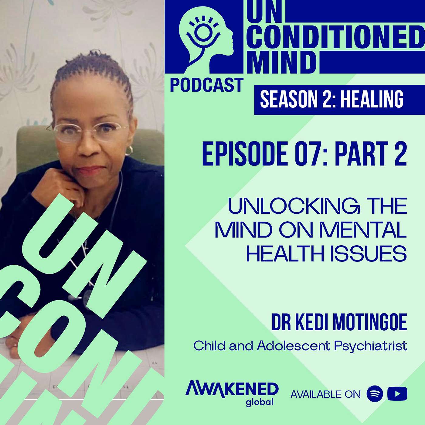 Role of Mental health in relation to emotional resilience and physical vitality by Dr Kedi Motingoe: Episode 7 part 2 episode artwork