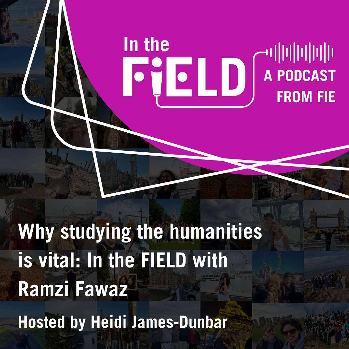 Episode Five: Why Studying the Humanities is Vital: In the FIEld with Ramzi Fawaz episode artwork