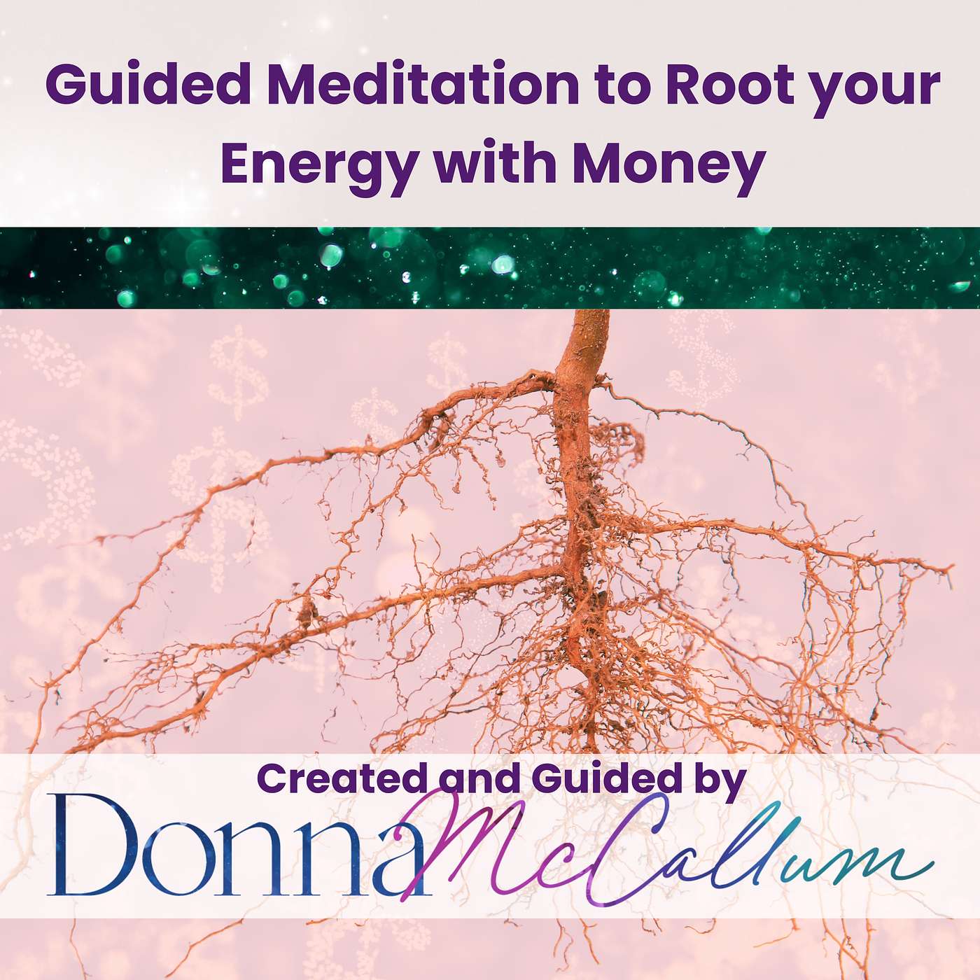 Guided Meditations with Donna McCallum