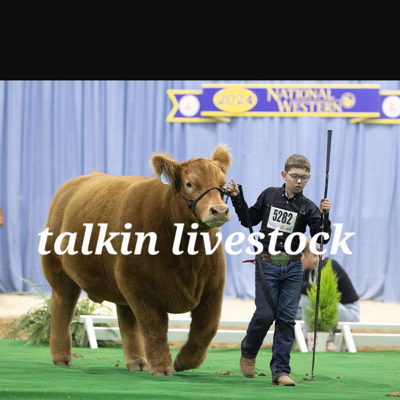 Talkin livestock