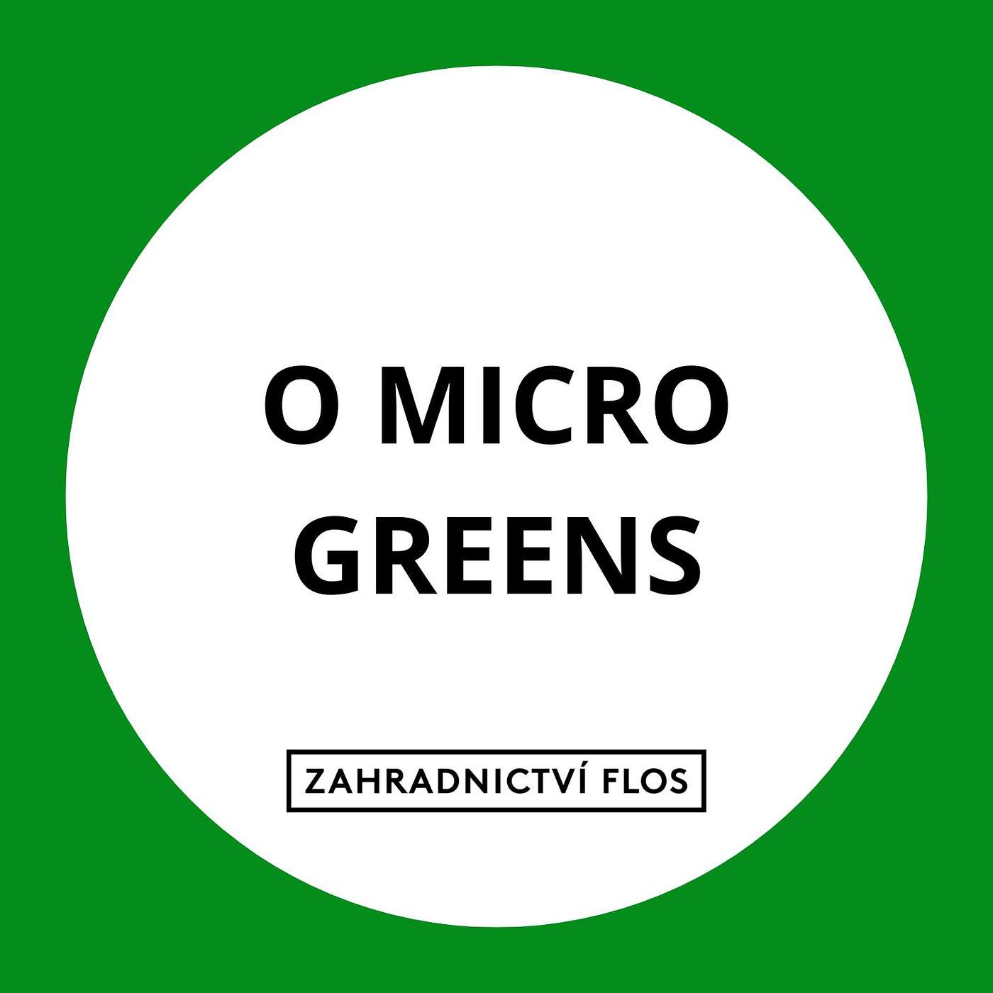 O microgreens, které už dávno nejsou hipsterký trend