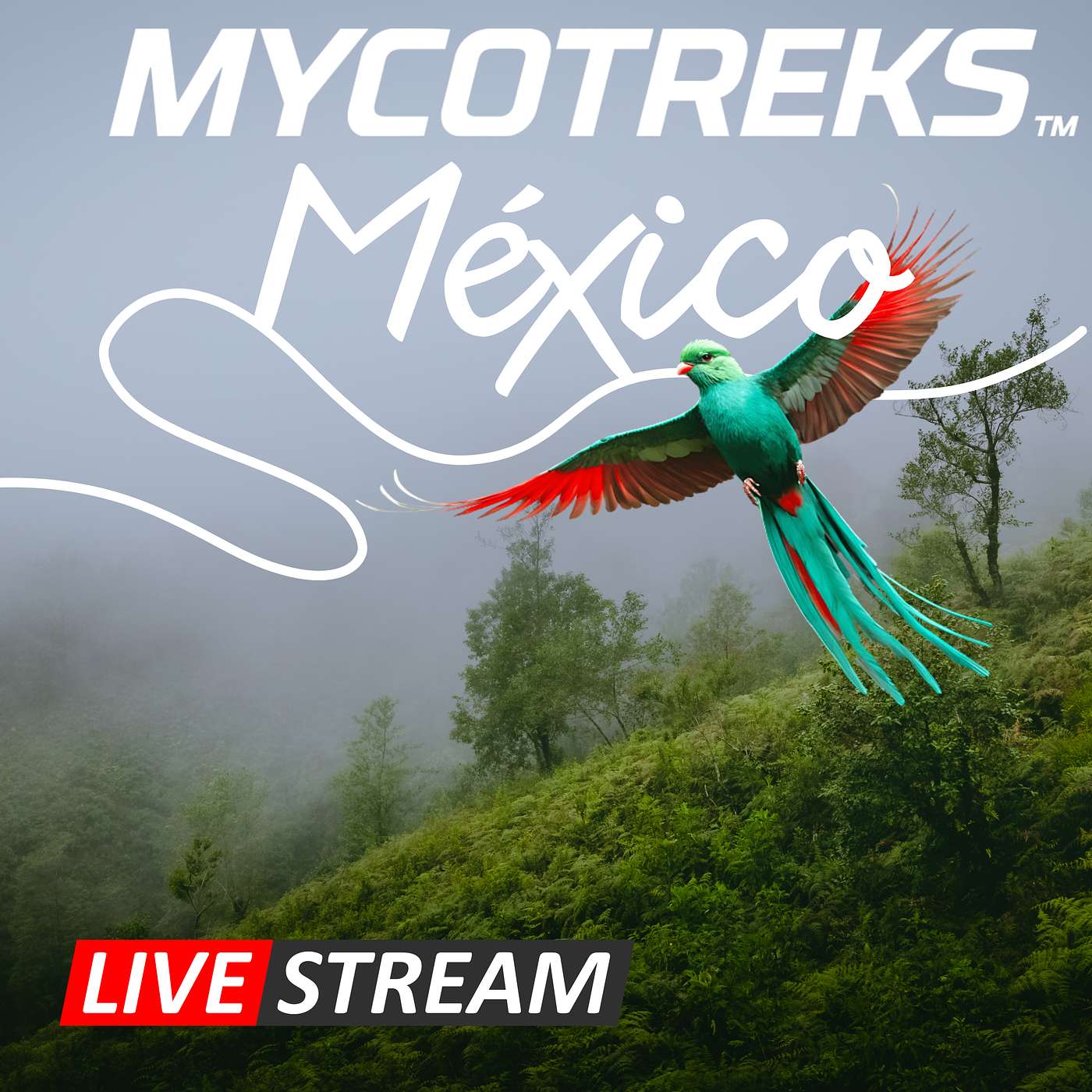 The MycoGeeky Podcast