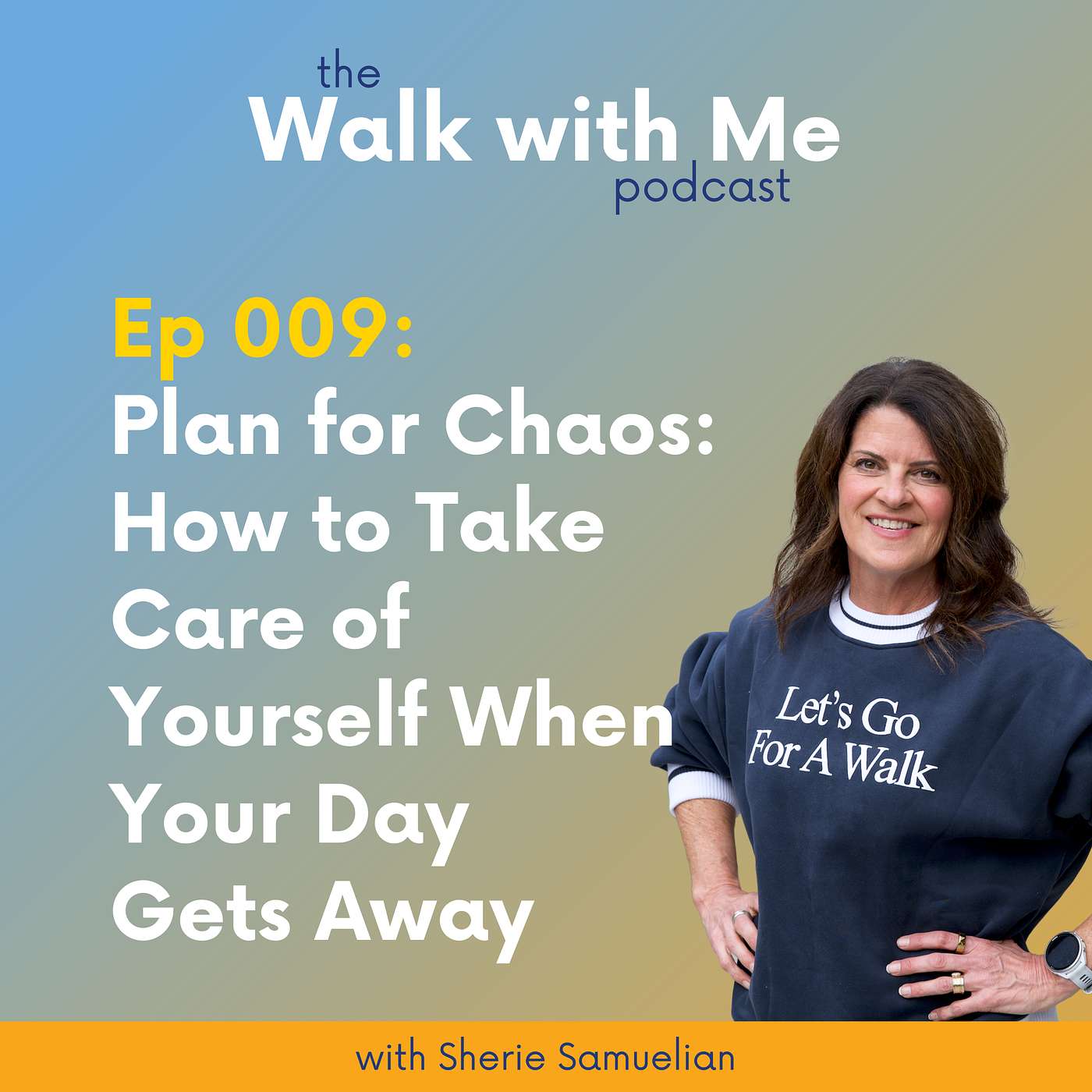 009: Plan For Chaos: How To Take Care Of Yourself When Your Day Gets Away