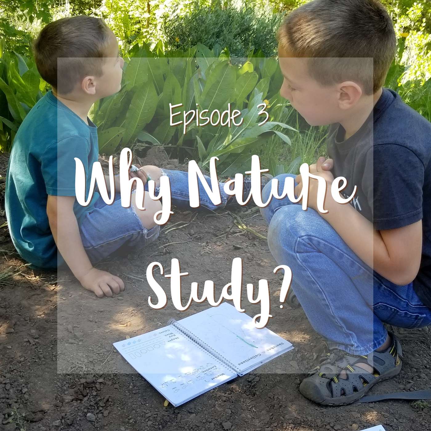 E.3 Why nature study?