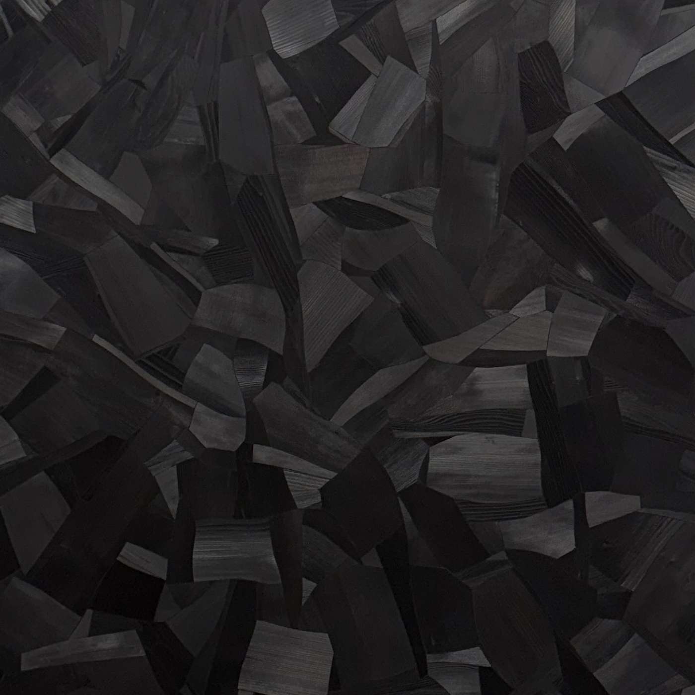 Lee Bae: Infinite Shades of Black