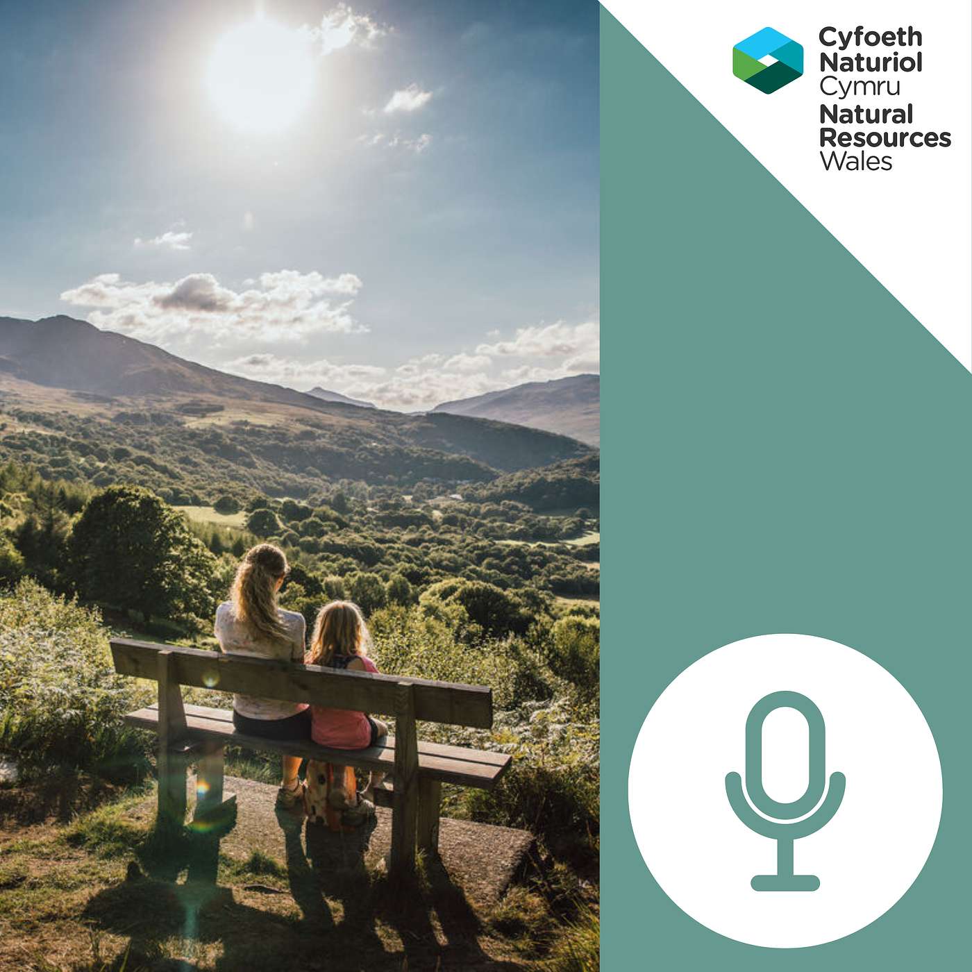 Tyfu Cymru fwy gwydn: Cysylltu'r dystiolaeth i'r dewisiadau sy'n llywio ein dyfodol