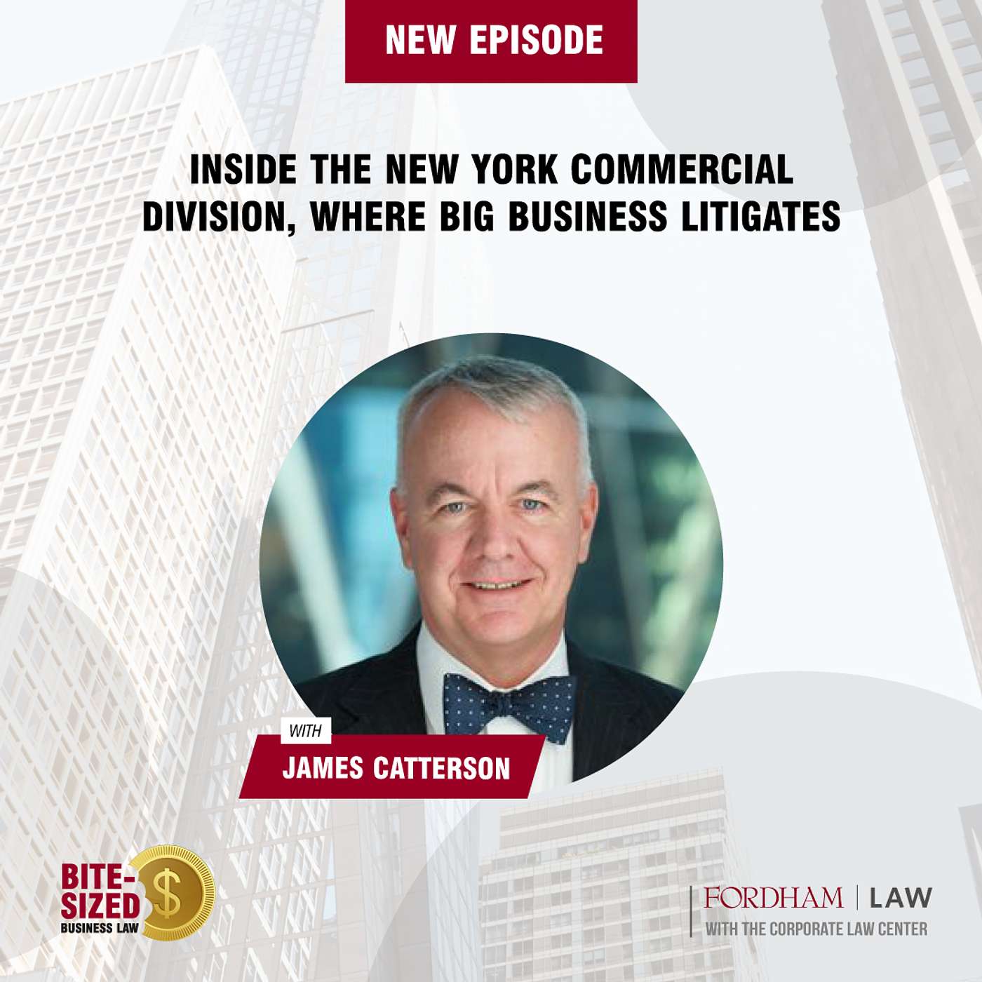 Inside the New York Commercial Division, Where Big Business Litigates
