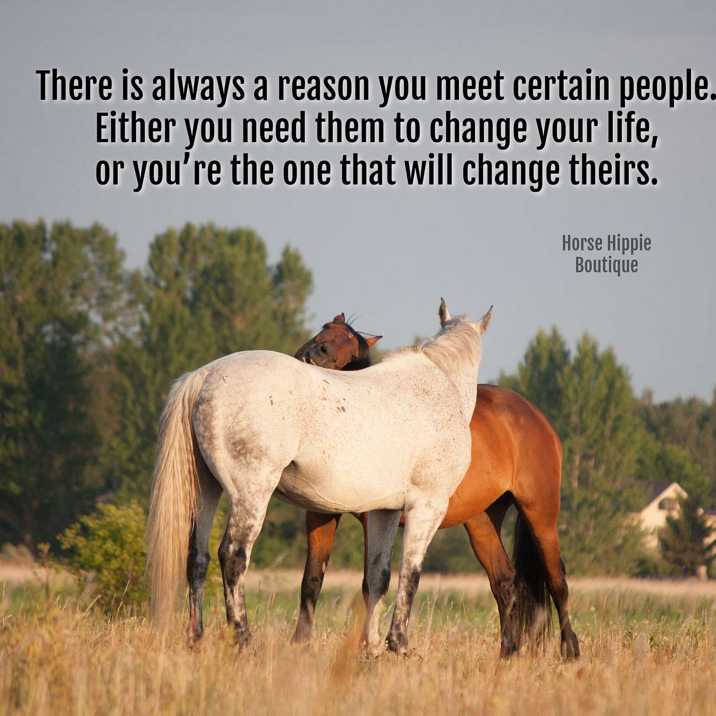 The People in Your Life