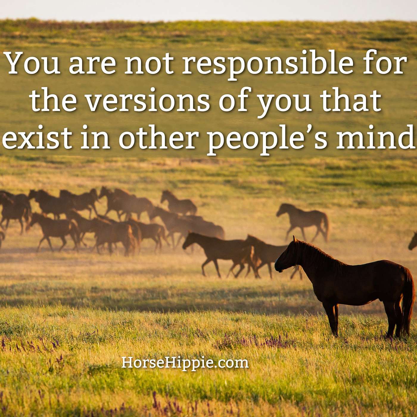 Their Version of You