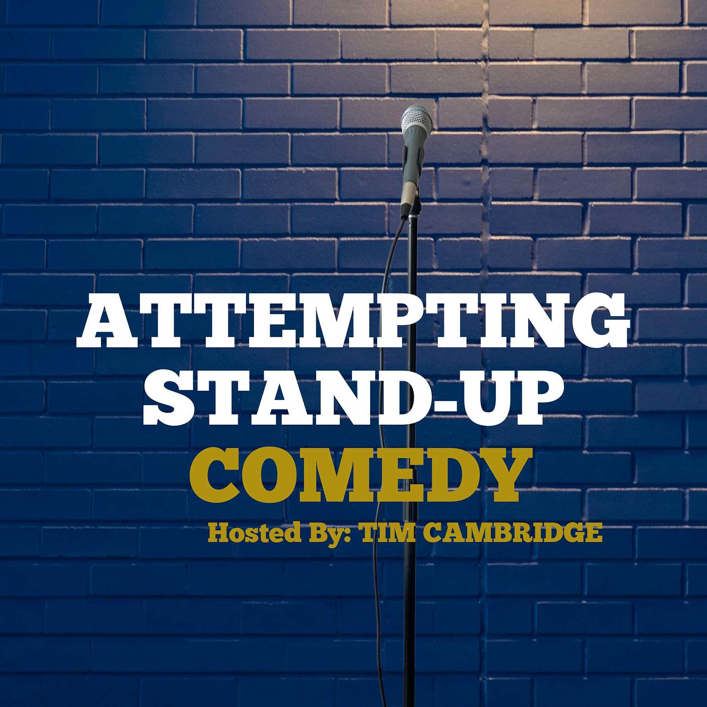 Welcome to Attempting Stand-up Comedy