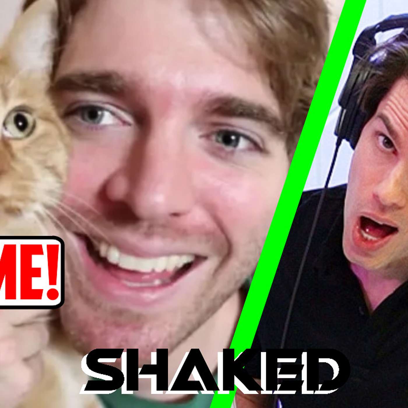 Why Shane Dawson's Cat, Cheeto, Must Be Saved!! +Why I Would Date Amber Heard