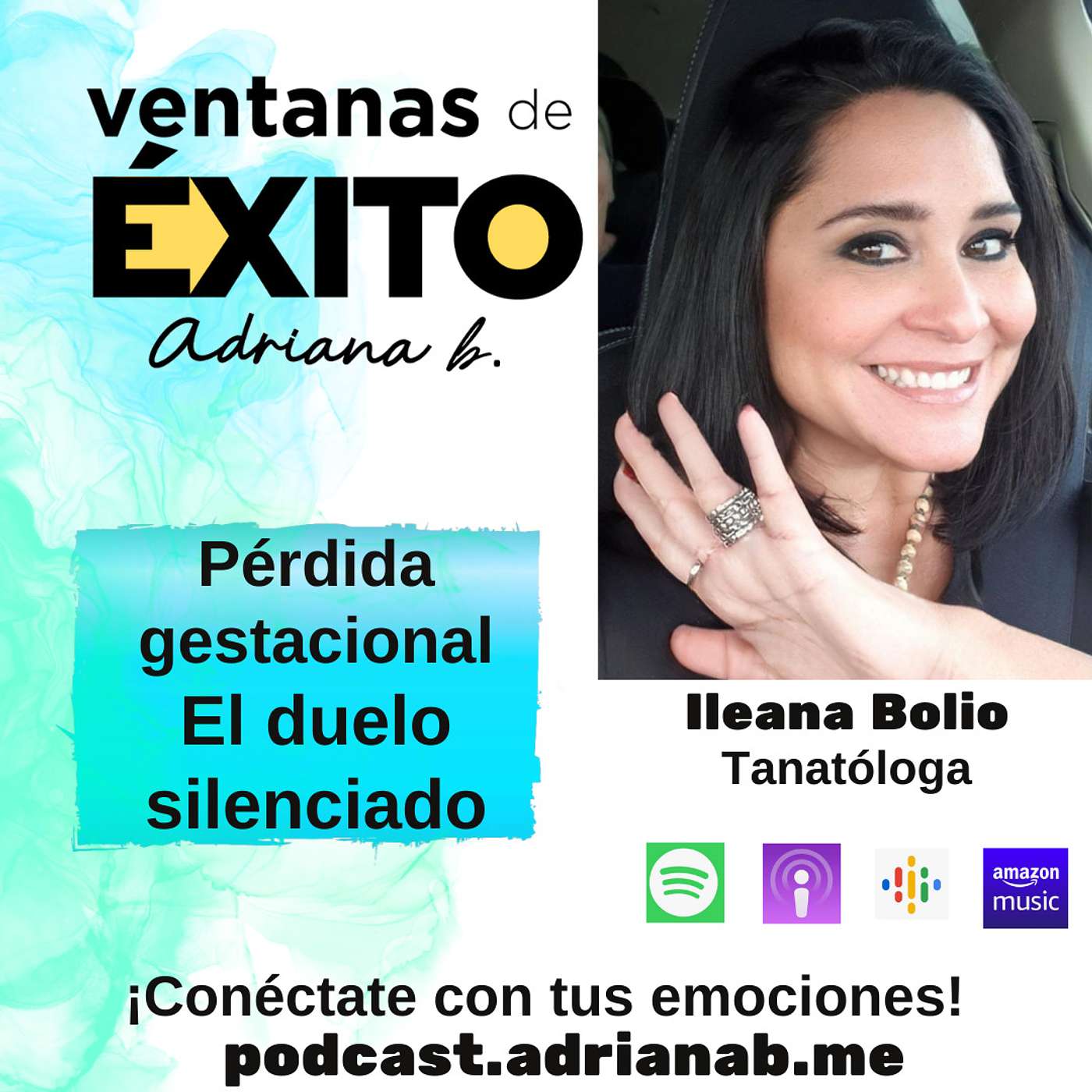 Ventanas de Éxito