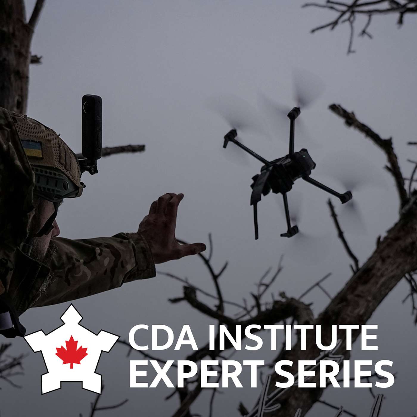 Conference of Defence Associations Institute
