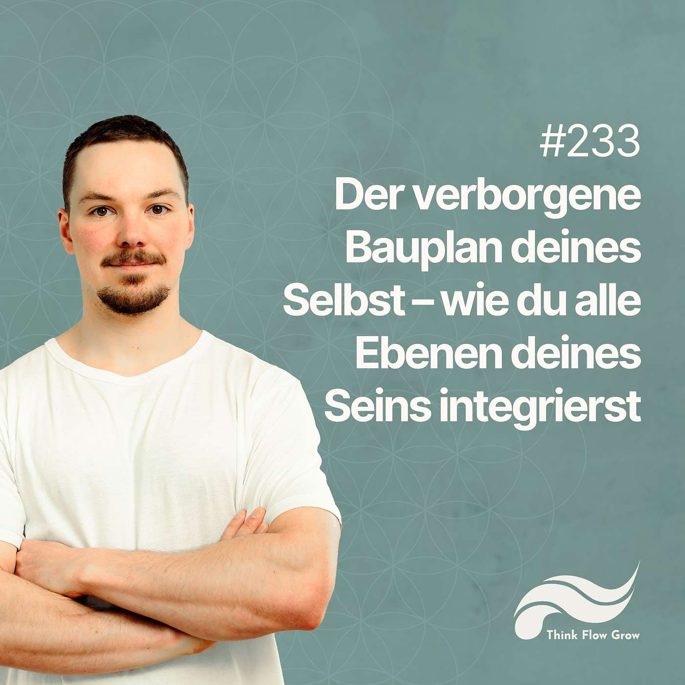 Der verborgene Bauplan deines Selbst – wie du alle Ebenen deines Seins integrierst | #233