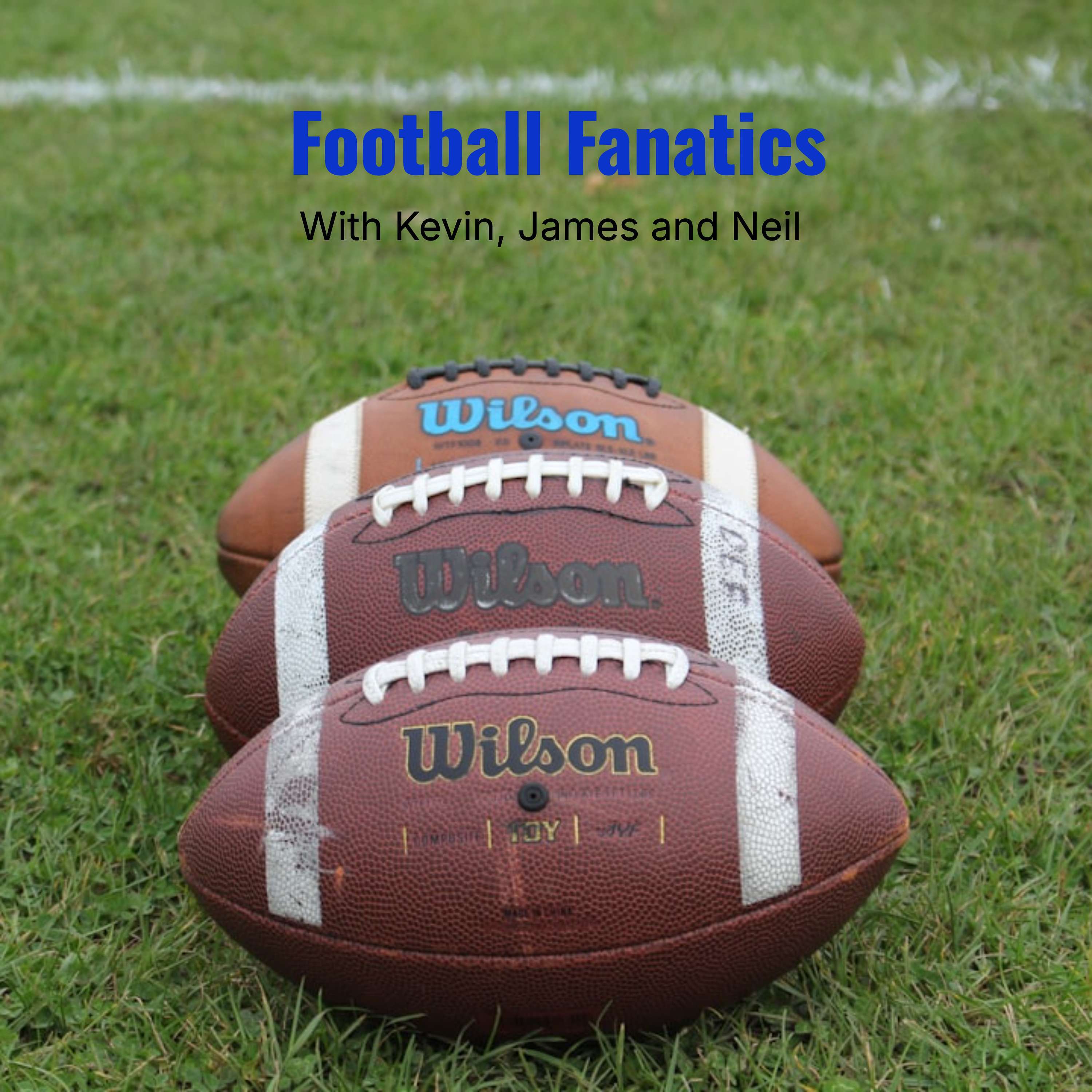 Football Fanatics: NFL Junkies