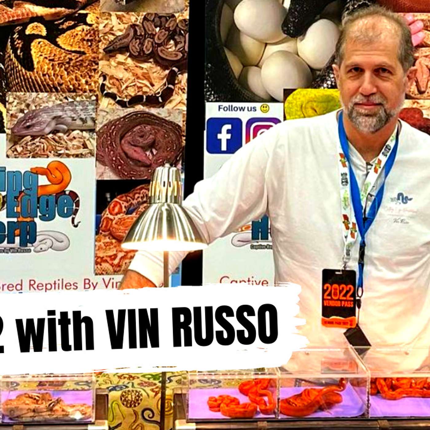How important is food & temp cycling? | Vin Russo of Cutting Edge Herpetological