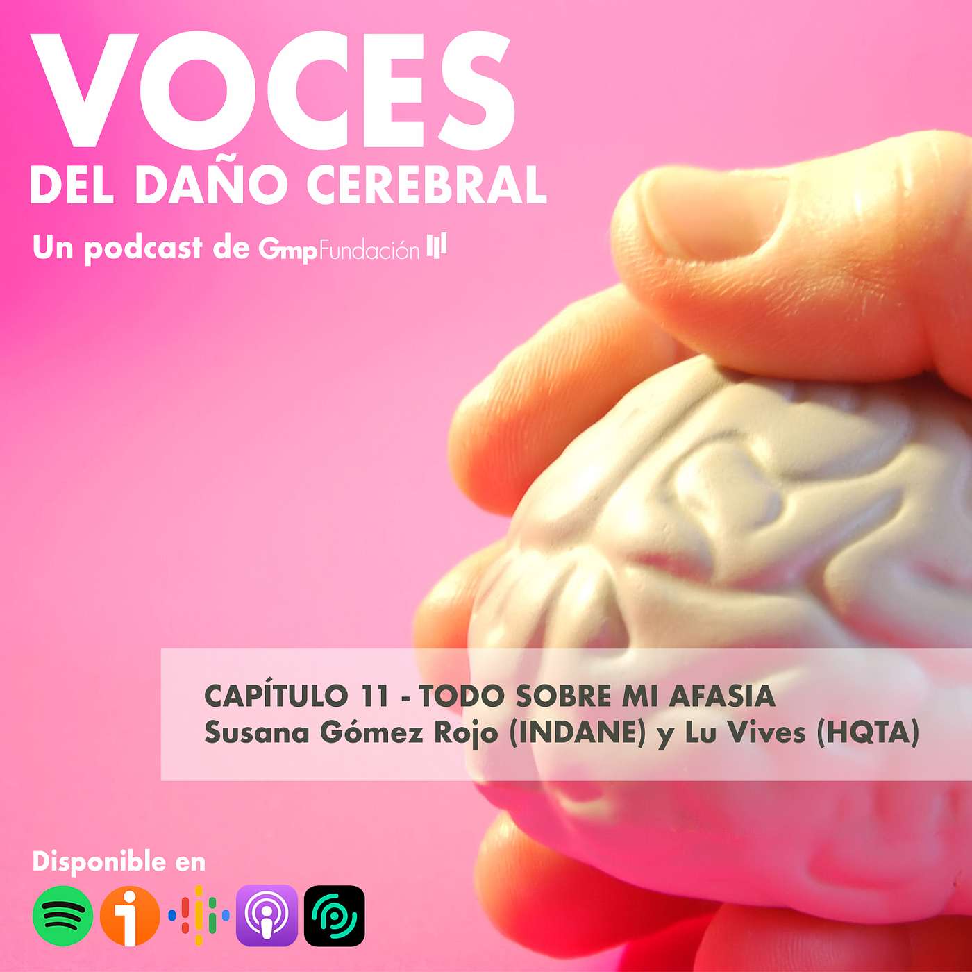 VOCES DEL DAÑO CEREBRAL. Capítulo 11 - Todo sobre mi afasia