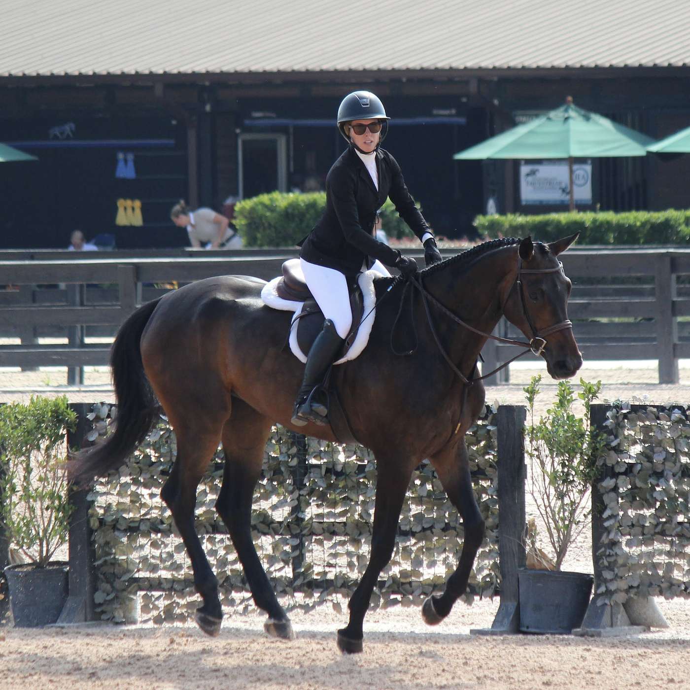 Episode 36: What's the Catch? Catch Riding, Working Student Positions and Labor For Lessons Arrangements