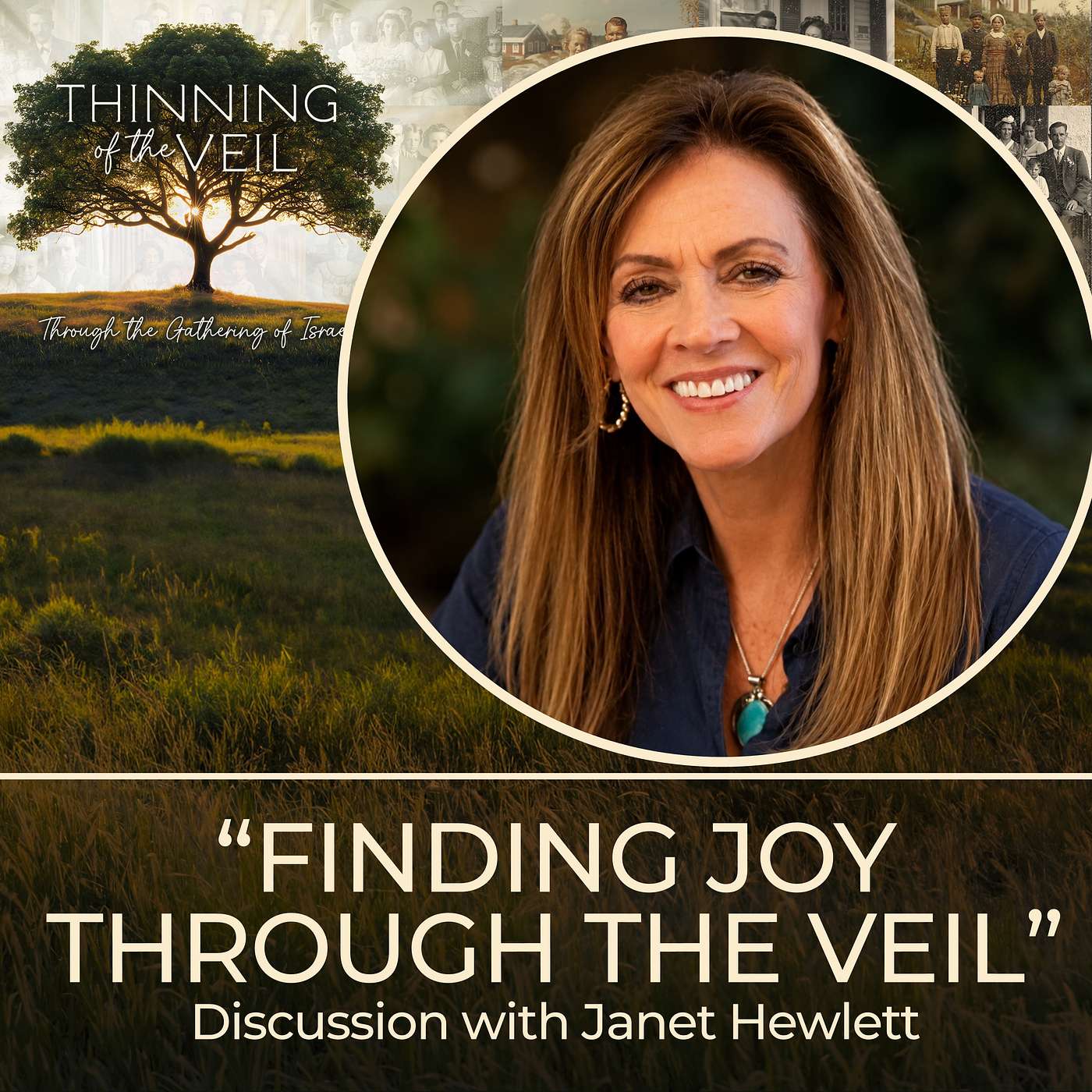 FINDING JOY THROUGH THE VEIL: Discussion with Janet Hewlett episode artwork