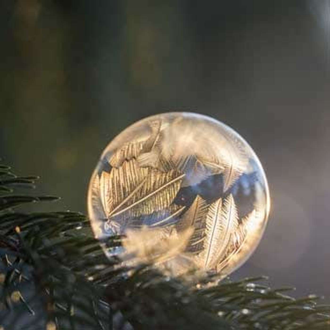 Sunday Service Podcast December 19th – Still Point