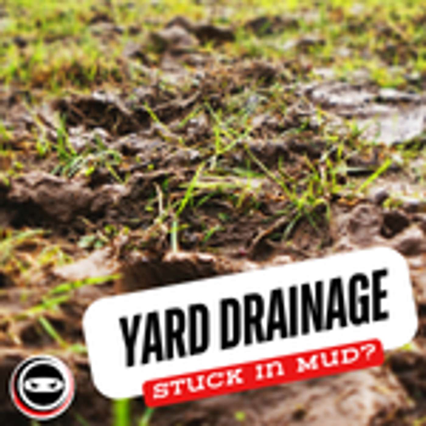 Soggy Yard? Meet the Drainage Solution MLB Can't Live Without