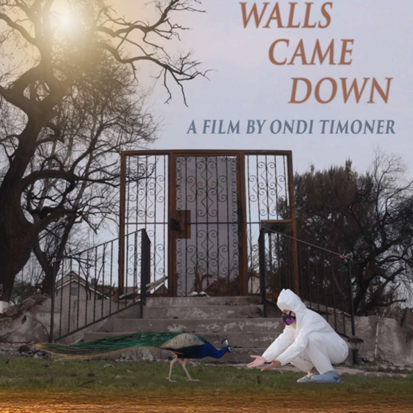 ALL THE WALLS CAME: Ondi Timoner on Creating Transformative Films - Hosted by Heather Lenz ALL THE WALLS CAME: Ondi Timoner on Creating Transformative Films - Hosted by Heather Lenz