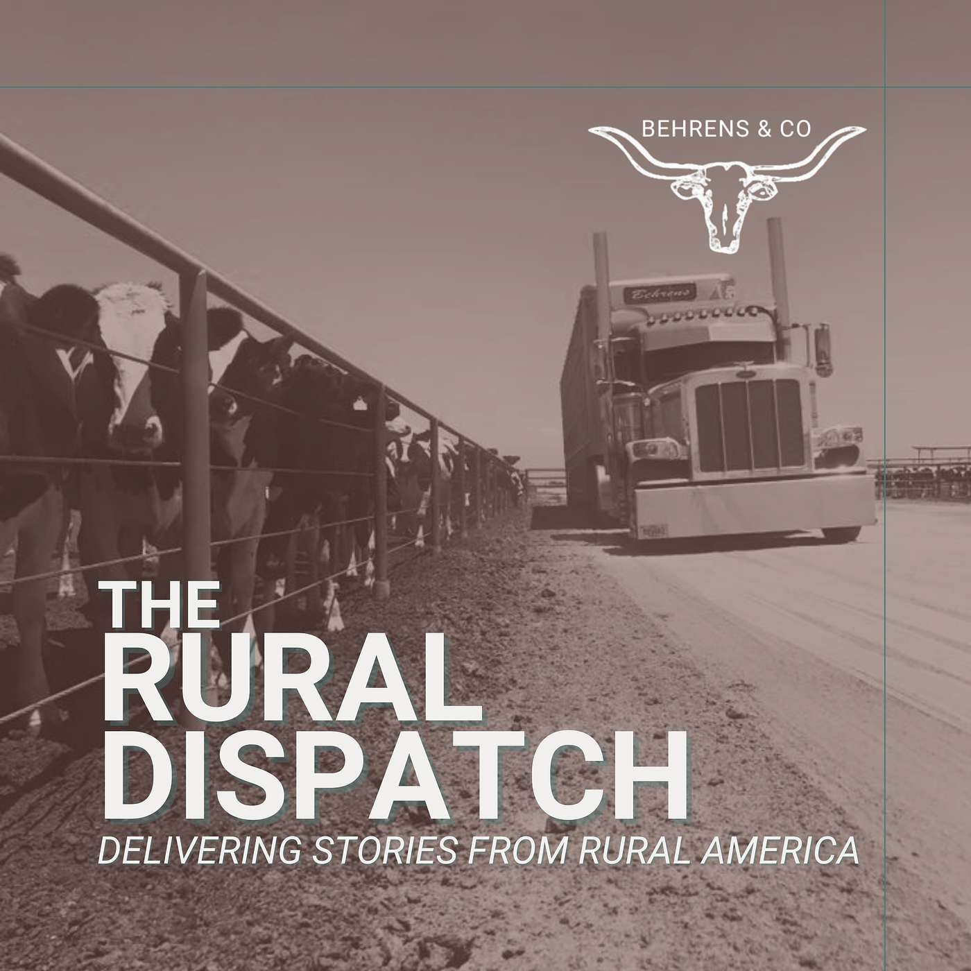 More Money Doesn't Mean Easy Money: Inside Today's Trucking & Cattle Business episode artwork