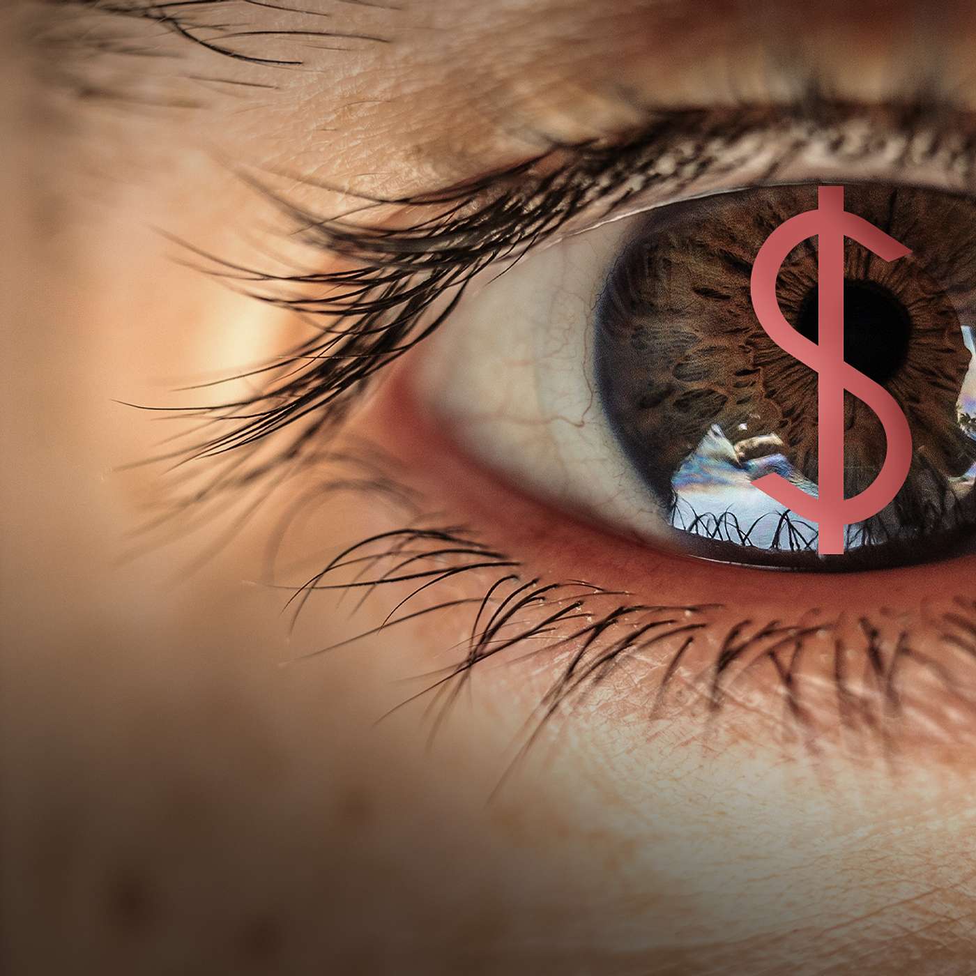 The $530,000 Claim That Almost Ruined a Retired Architect