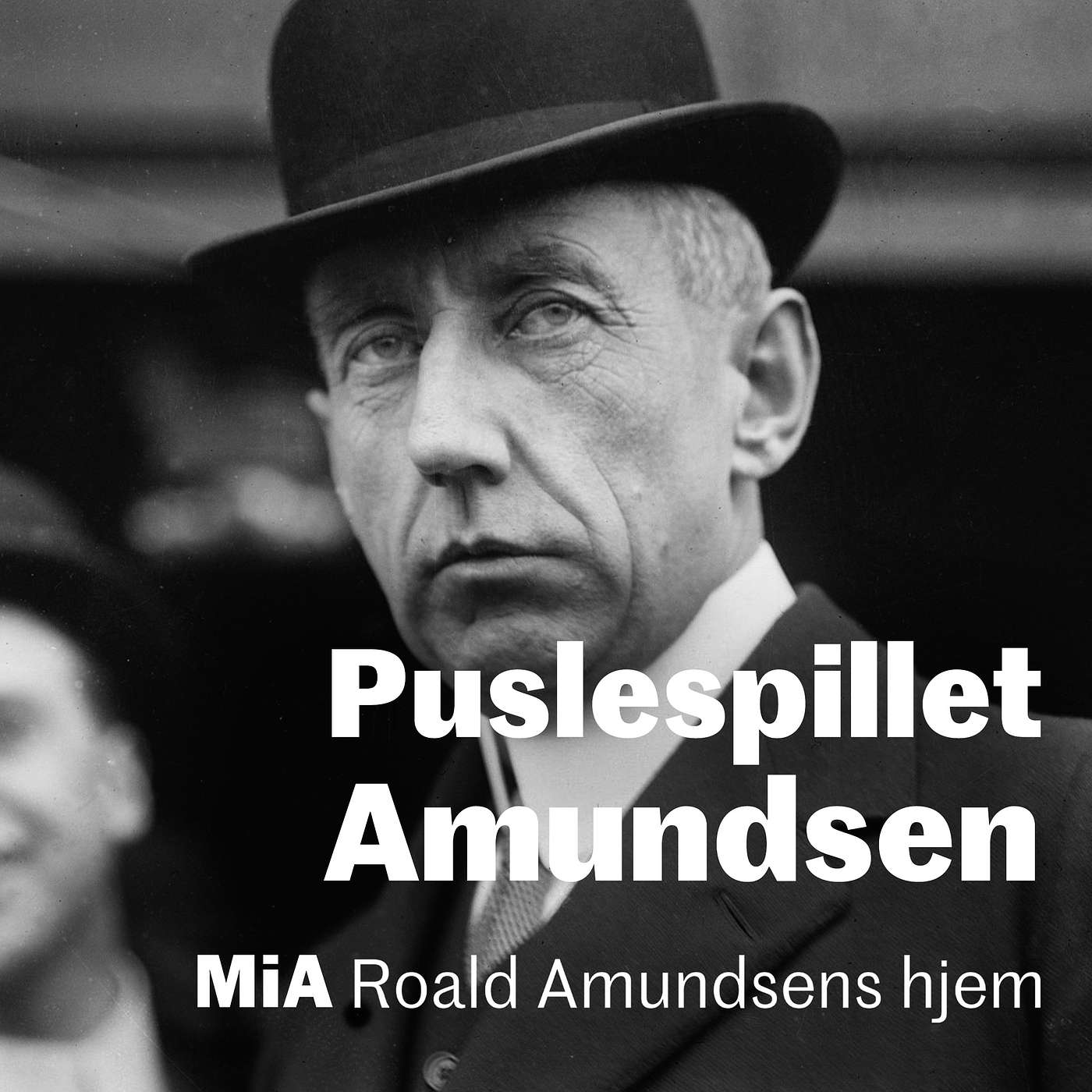 Puslespillet Amundsen