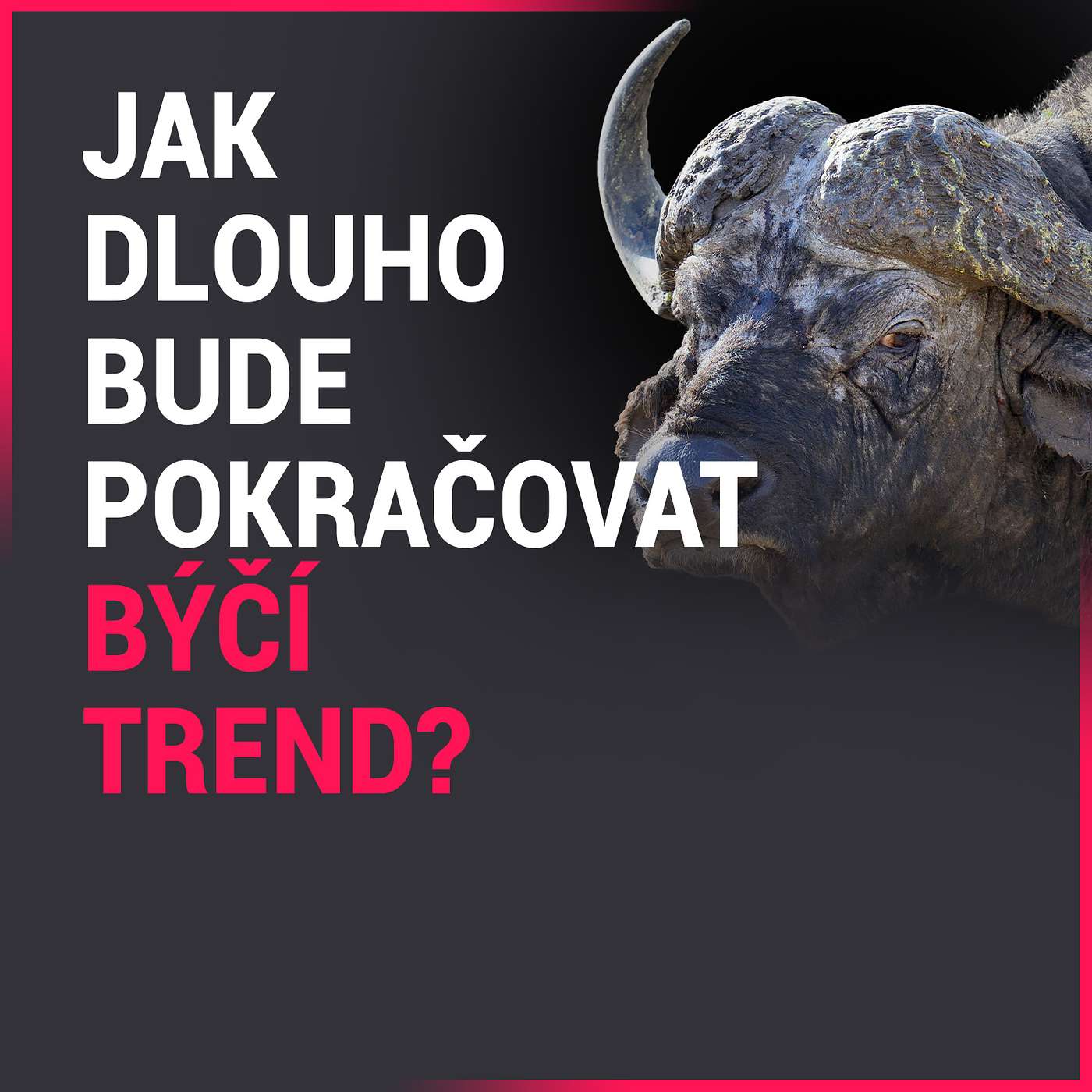 ANKETY: Životnost býčího trendu a možné spouštěče paniky episode artwork