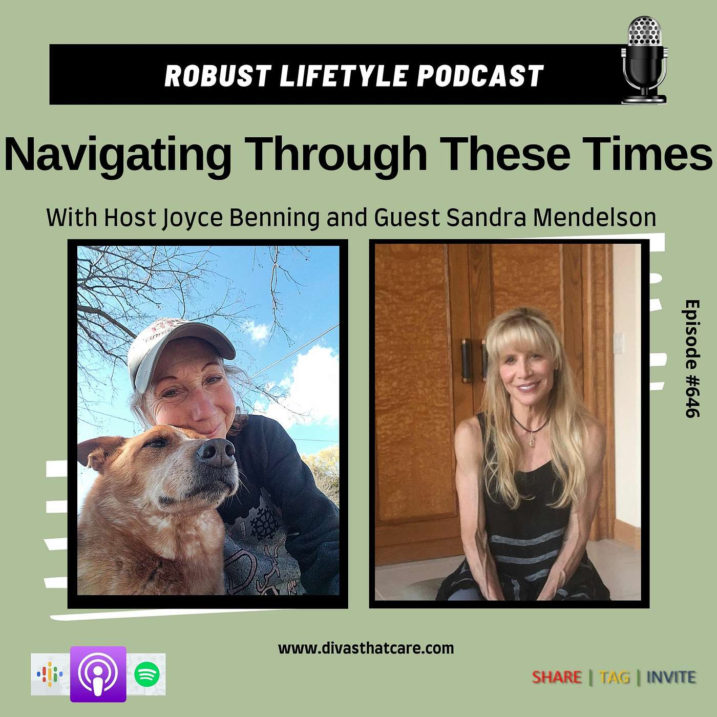 Navigating Through These Times episode artwork