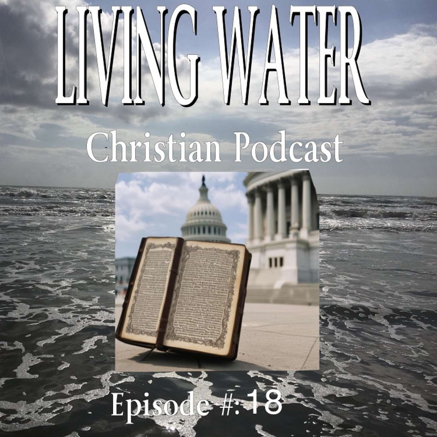 cover of episode U.S. POLITICS