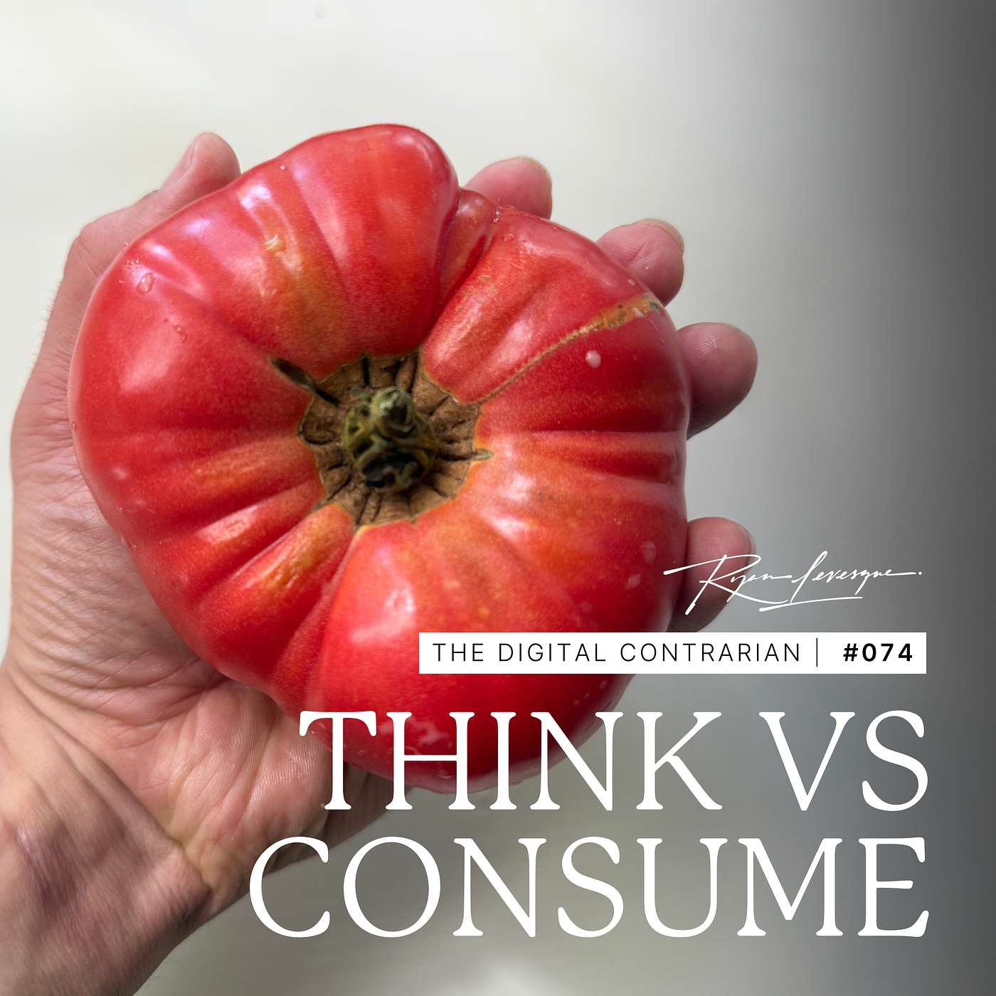 TDC 074: The First Trillion Dollar Thought Leader: Being Known for How You Think, Not What You Consume TDC 074: The First Trillion Dollar Thought Leader: Being Known for How You Think, Not What You Consume