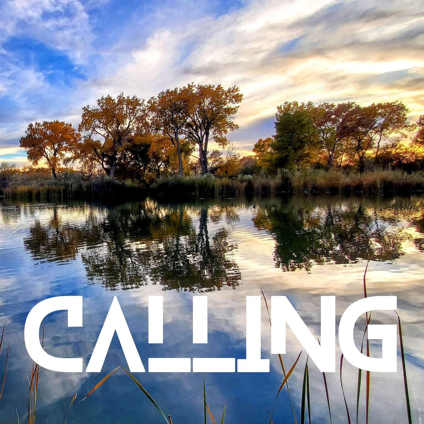 Calling episode artwork