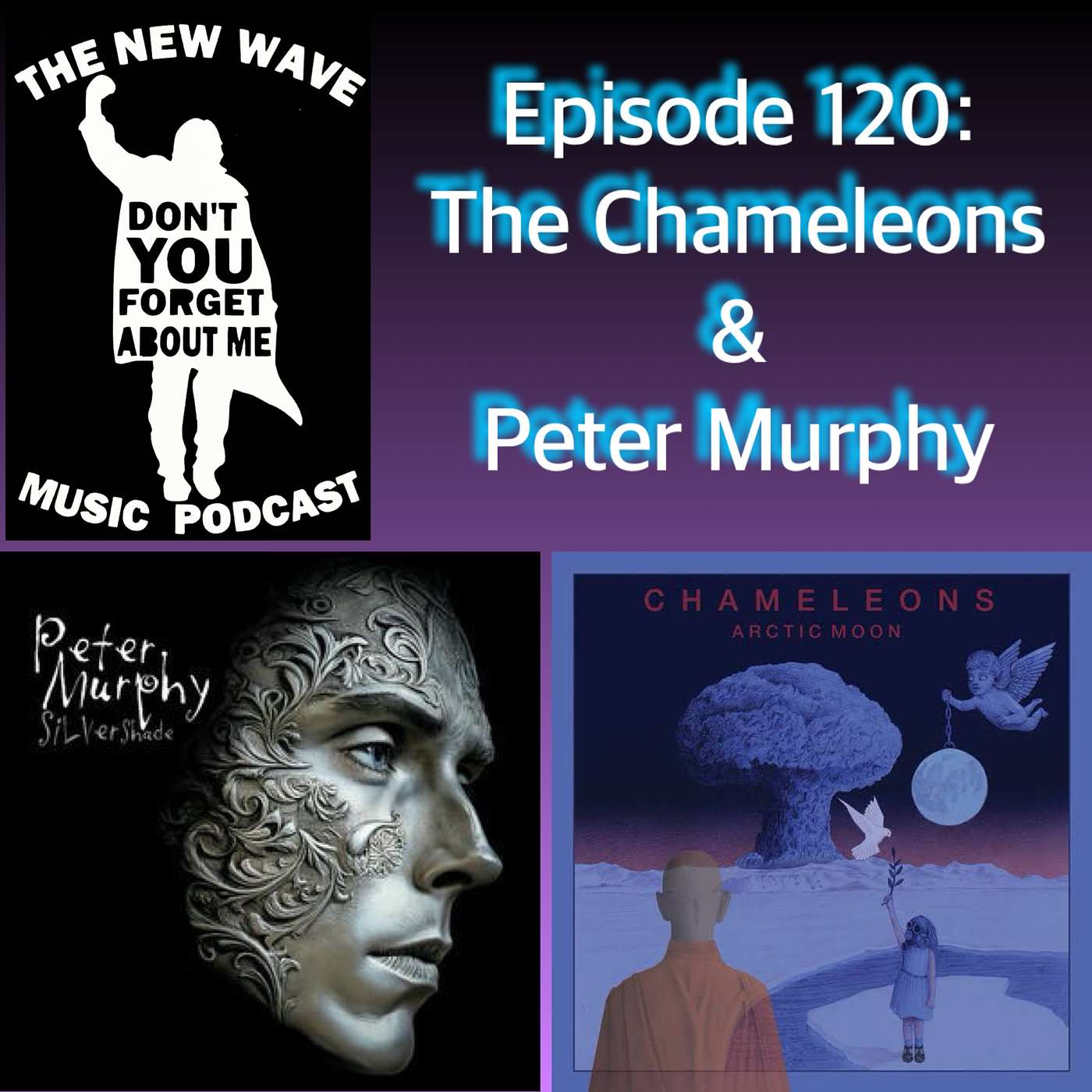 The Chameleons & Peter Murphy