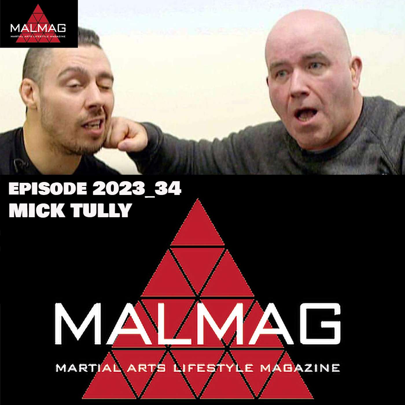 The Martial Arts Lifestyle Podcast