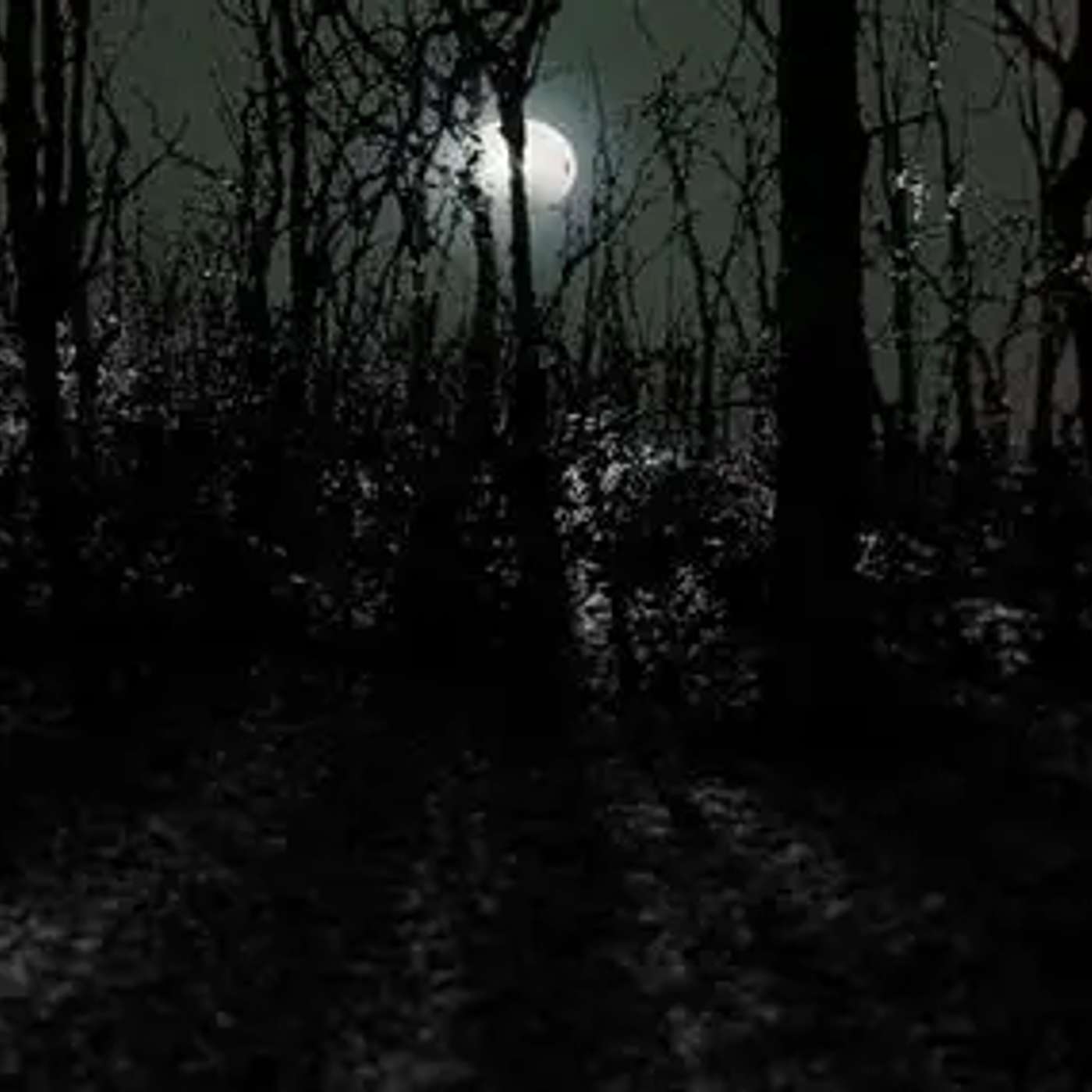 Weird Stories; If Fog Could Sing