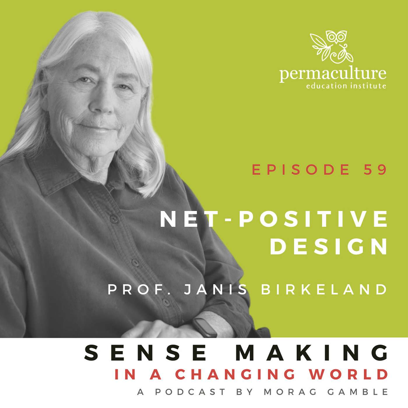 Sense-Making in a Changing World
