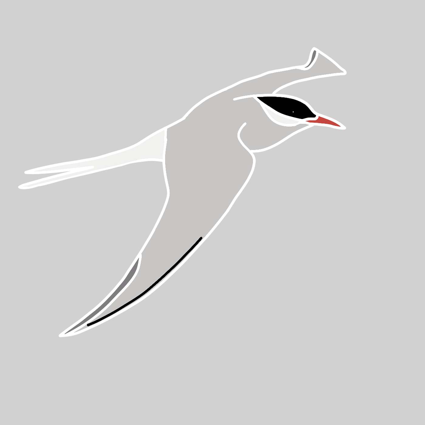The Arctic Tern