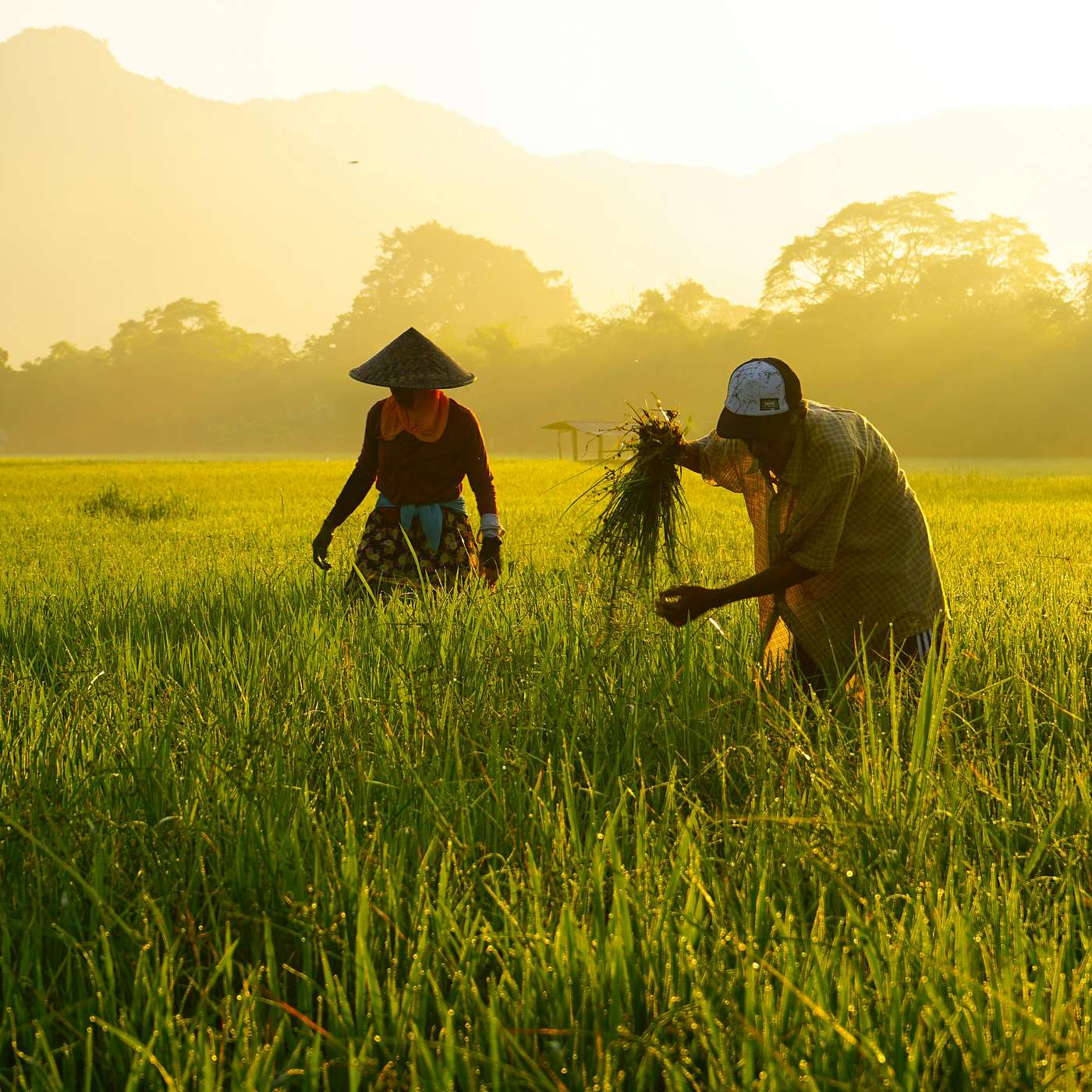 Beyond Benchmarking: Building a Verified Low-Carbon Supply Chain with Rob Chester Beyond Benchmarking: Building a Verified Low-Carbon Supply Chain with Rob Chester