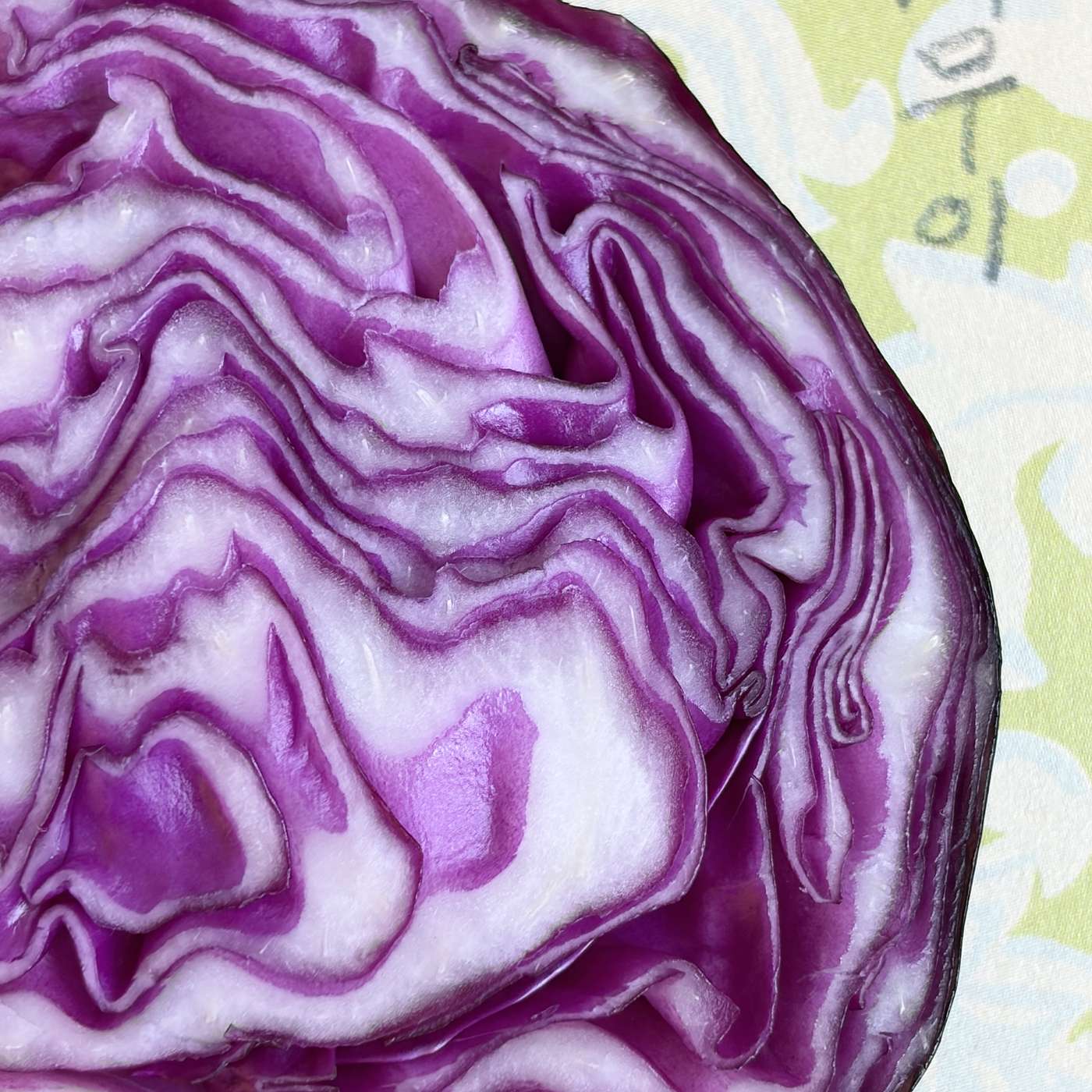 The Archaeology of Home 한옥계의 인디아나 존스 The Archaeology of Home 한옥계의 인디아나 존스