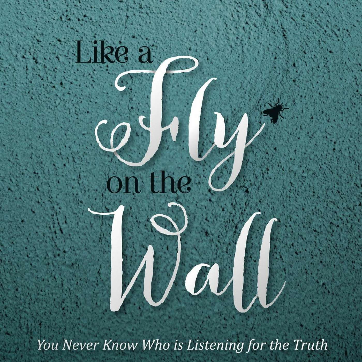 BAG LADY RADIO  Interviews Simone Kelly about Like a Fly on the Wall