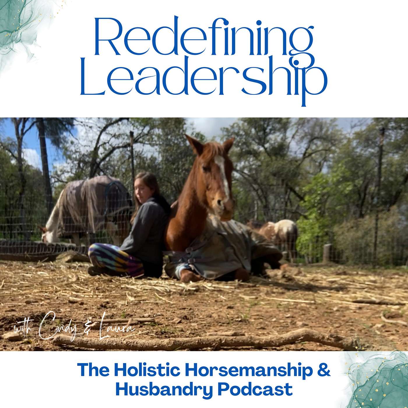 The Holistic Horsemanship and Husbandry Podcast