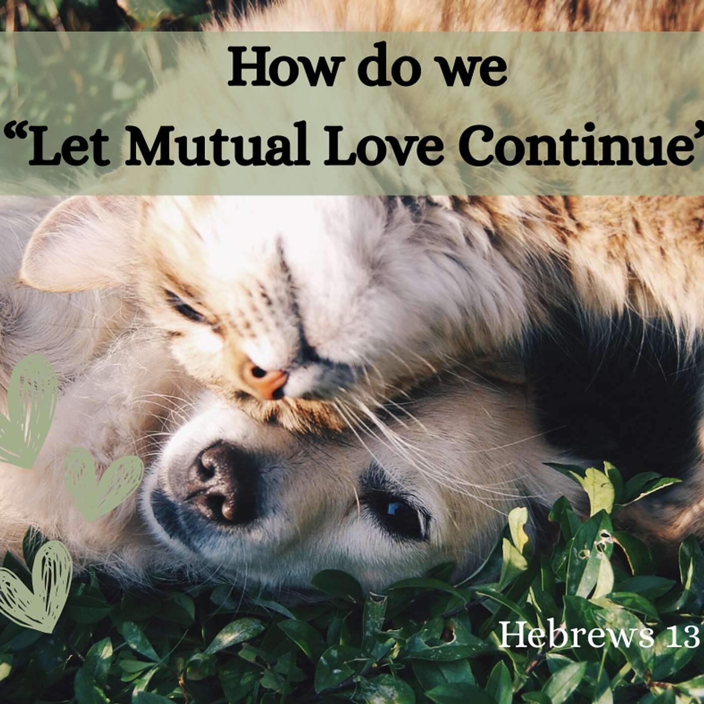 Tea, Toast, and Theology - All things Nourishing