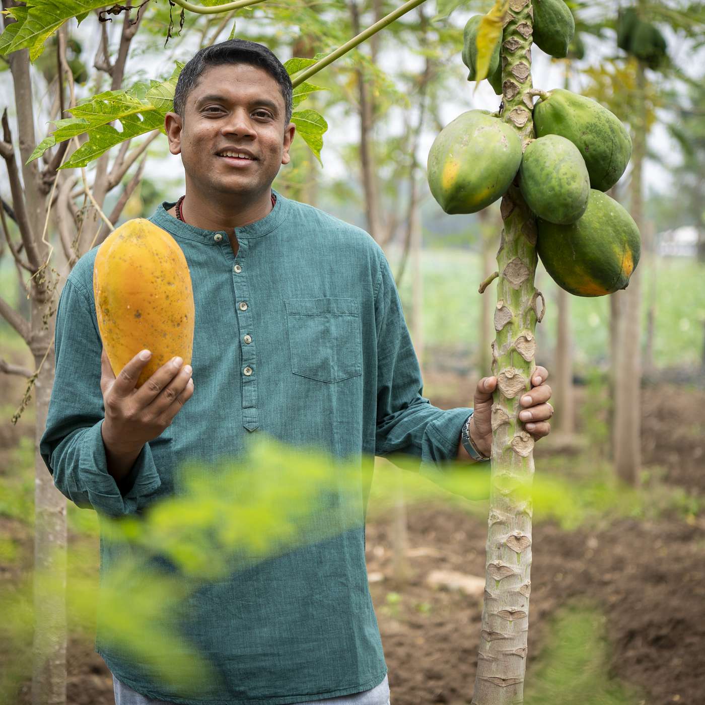 Investing in Regenerative Agriculture and Food