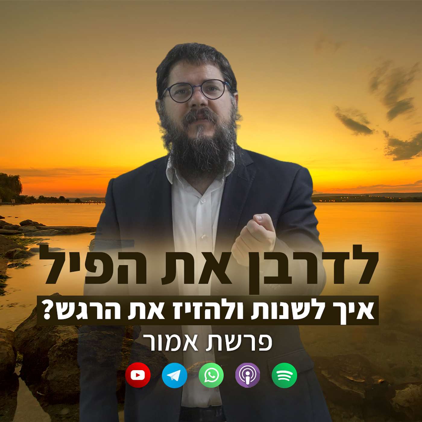 לדרבן את הפיל: איך לשנות ולהזיז את הרגש?